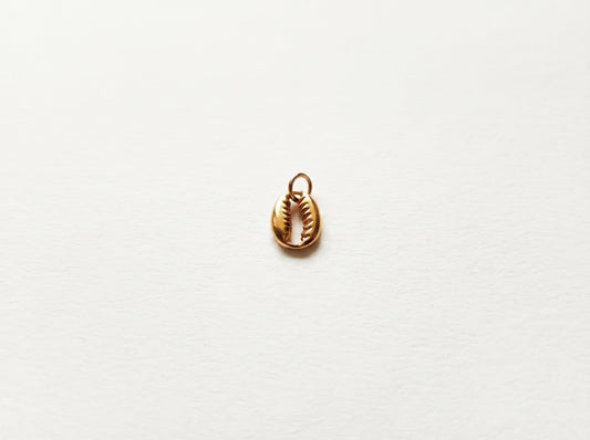 Cowrie Charm
