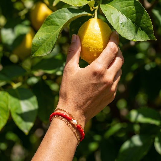 Red Coral Bracelet