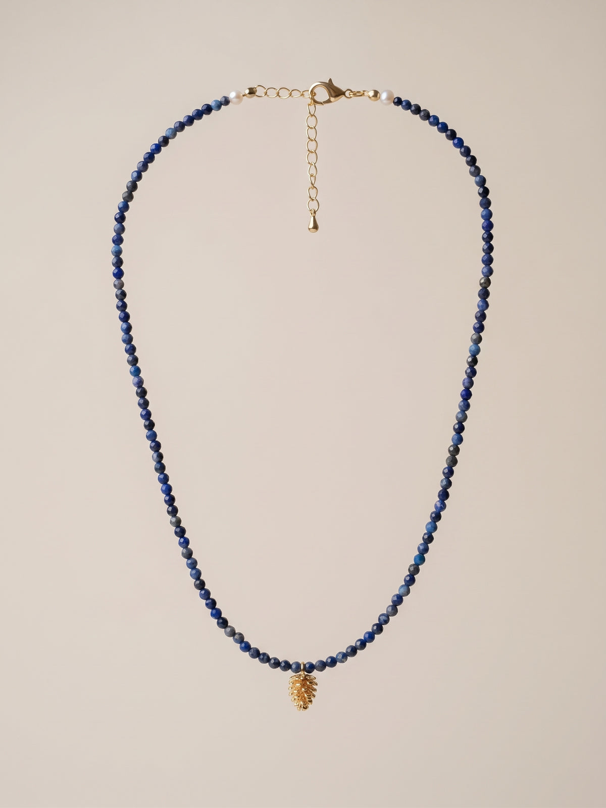 The Wanderer Lapis & Pinecone Necklace