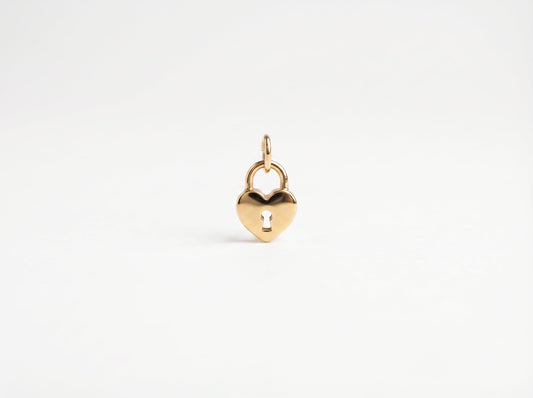 Forever Lock Charm
