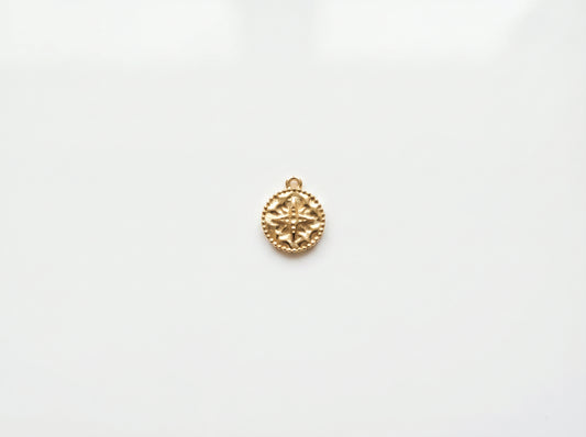 Star Coin Charm