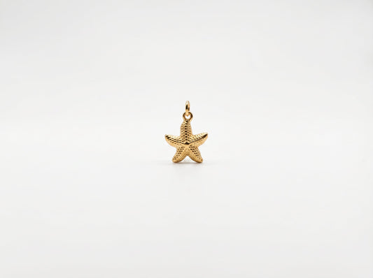 Marina Star Charm